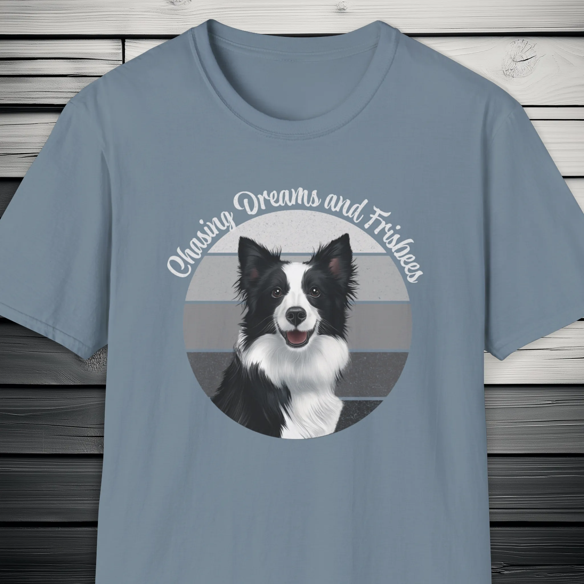 Border Collie Chasing Dreams and Frisbees