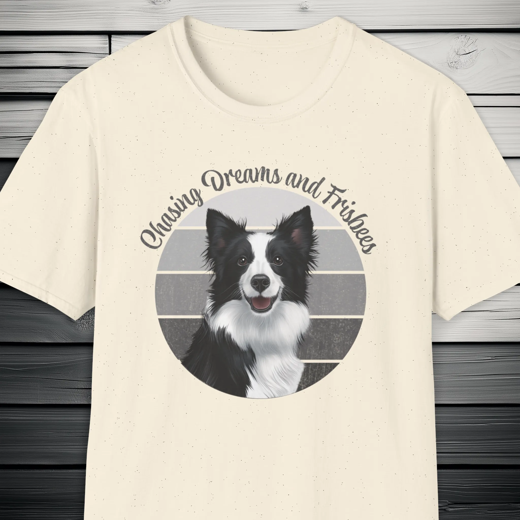 Border Collie Chasing Dreams and Frisbees