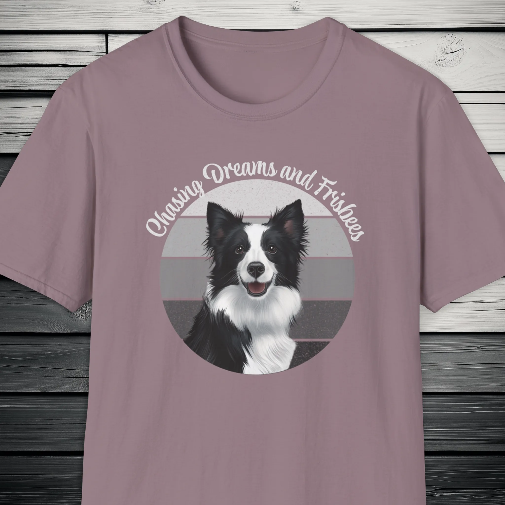 Border Collie Chasing Dreams and Frisbees