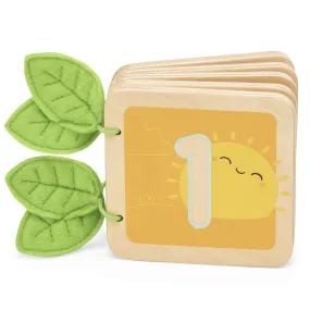 Counting Book