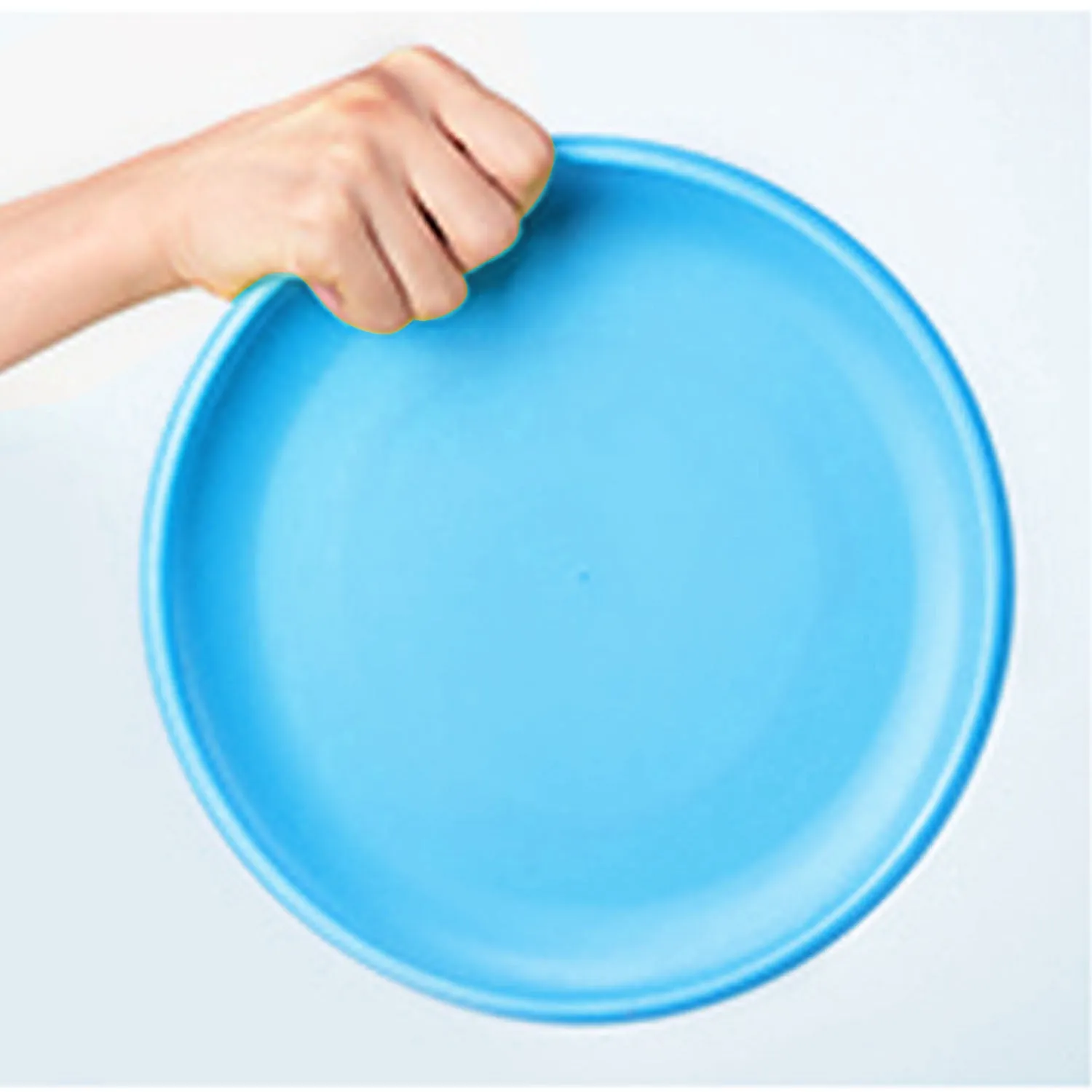 Frisbee (Ø9")
