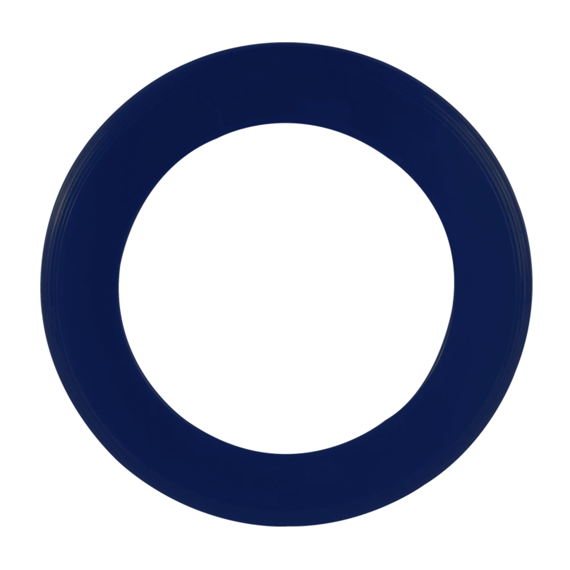 Printed Zing Ring Flyer