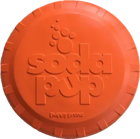 Retrieving Toy | Frisbee Orange