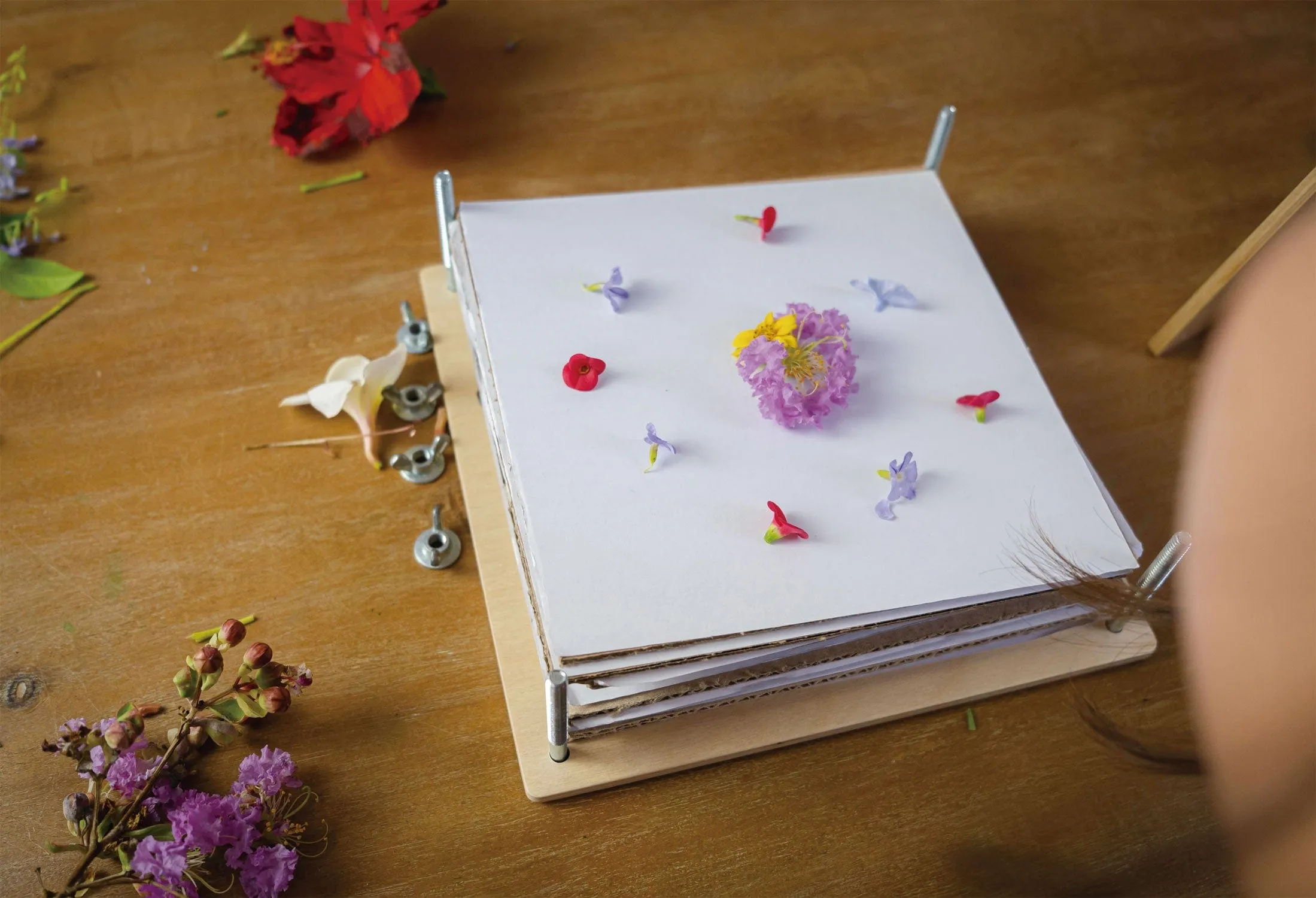 Tender Leaf Toys My Botanical Flower Press
